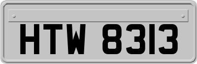HTW8313