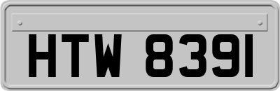 HTW8391