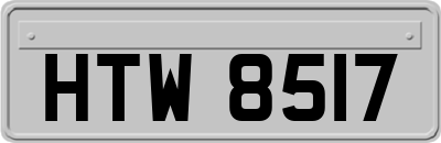 HTW8517