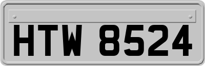 HTW8524