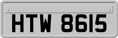 HTW8615