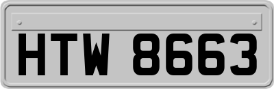 HTW8663