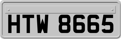 HTW8665