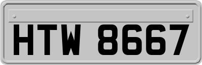 HTW8667