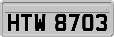 HTW8703