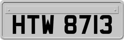HTW8713