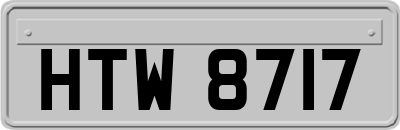 HTW8717