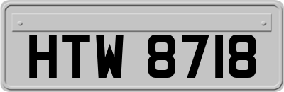 HTW8718