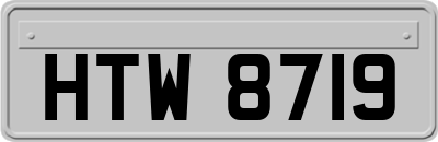 HTW8719