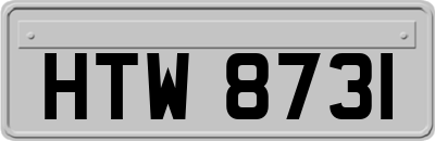 HTW8731
