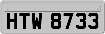 HTW8733