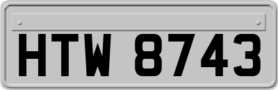 HTW8743