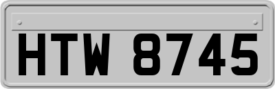 HTW8745