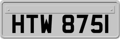 HTW8751