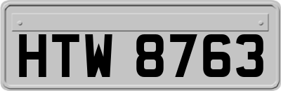 HTW8763