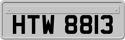 HTW8813