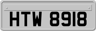 HTW8918