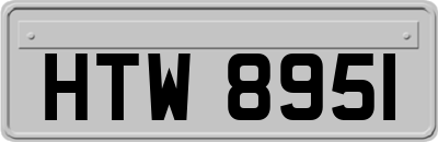 HTW8951