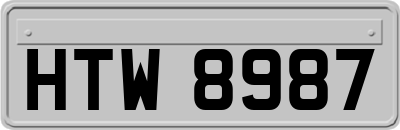 HTW8987
