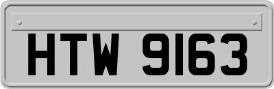 HTW9163