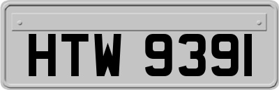 HTW9391