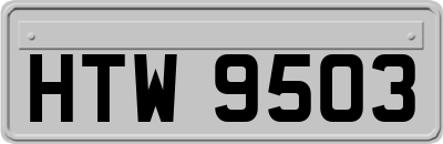 HTW9503