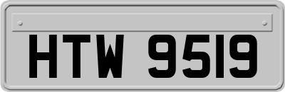HTW9519