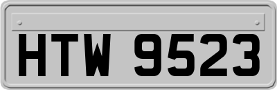 HTW9523