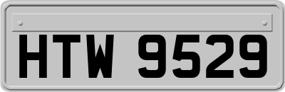 HTW9529