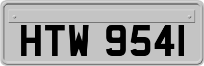 HTW9541