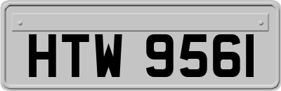 HTW9561