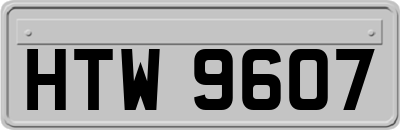 HTW9607