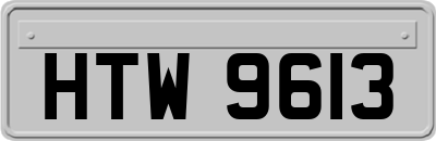 HTW9613