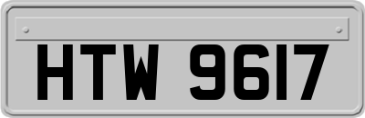 HTW9617