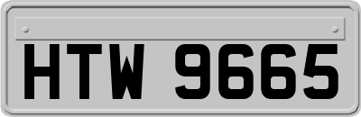 HTW9665