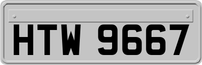 HTW9667