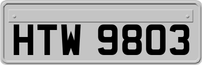 HTW9803