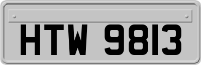 HTW9813