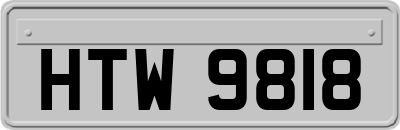 HTW9818