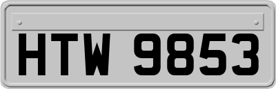 HTW9853