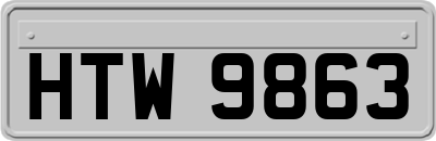 HTW9863