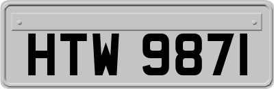 HTW9871