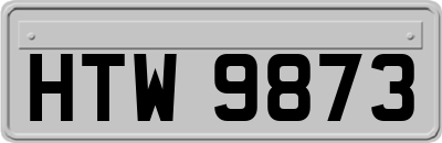 HTW9873