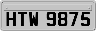 HTW9875