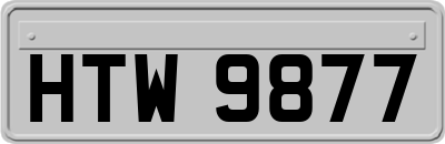 HTW9877