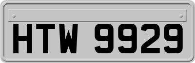 HTW9929