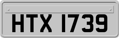 HTX1739