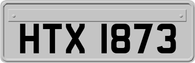 HTX1873