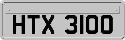 HTX3100