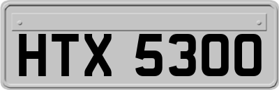 HTX5300